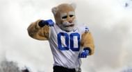 Brigham Young University (BYU) Mascot